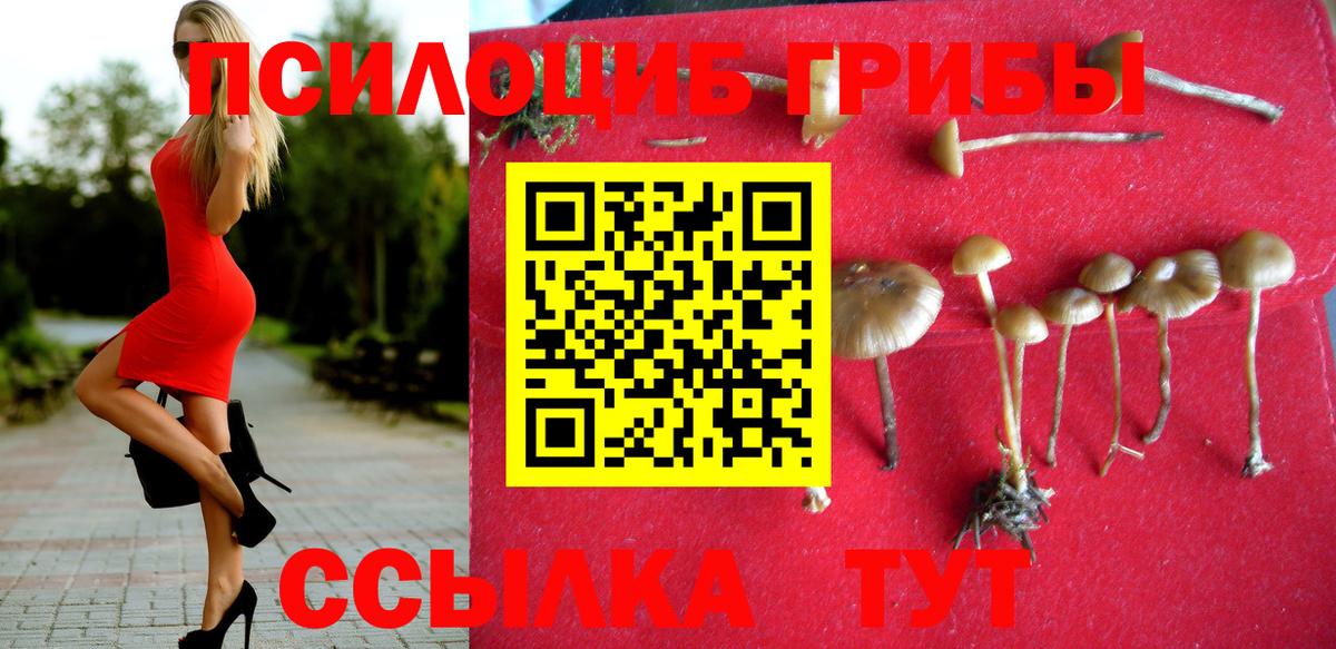 Псилоцибиновые грибы MAGIC MUSHROOMS Майский